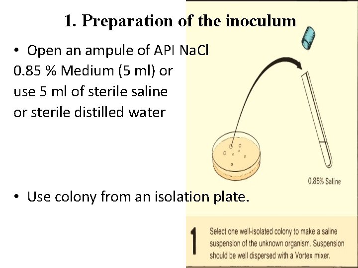 1. Preparation of the inoculum • Open an ampule of API Na. Cl 0.