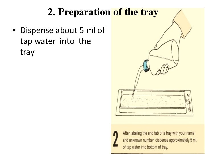 2. Preparation of the tray • Dispense about 5 ml of tap water into