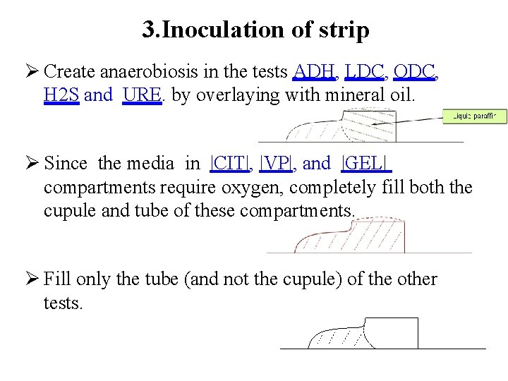 3. Inoculation of strip Create anaerobiosis in the tests ADH, LDC, ODC, H 2