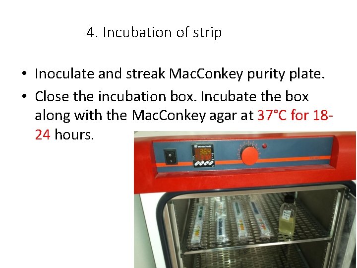 4. Incubation of strip • Inoculate and streak Mac. Conkey purity plate. • Close