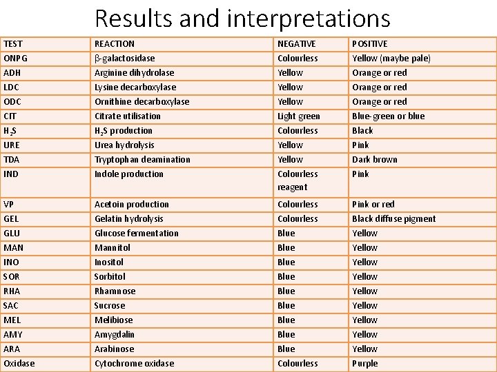 Results and interpretations TEST REACTION NEGATIVE POSITIVE ONPG -galactosidase Colourless Yellow (maybe pale) ADH