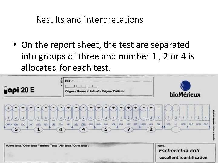 Results and interpretations • On the report sheet, the test are separated into groups