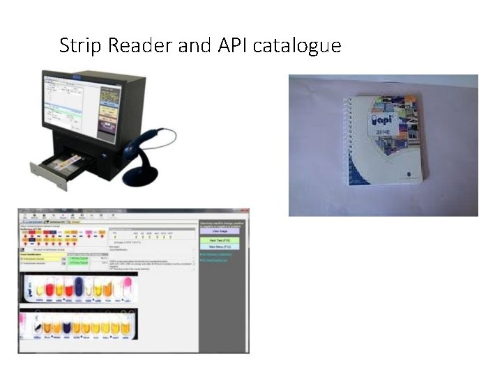 Strip Reader and API catalogue 