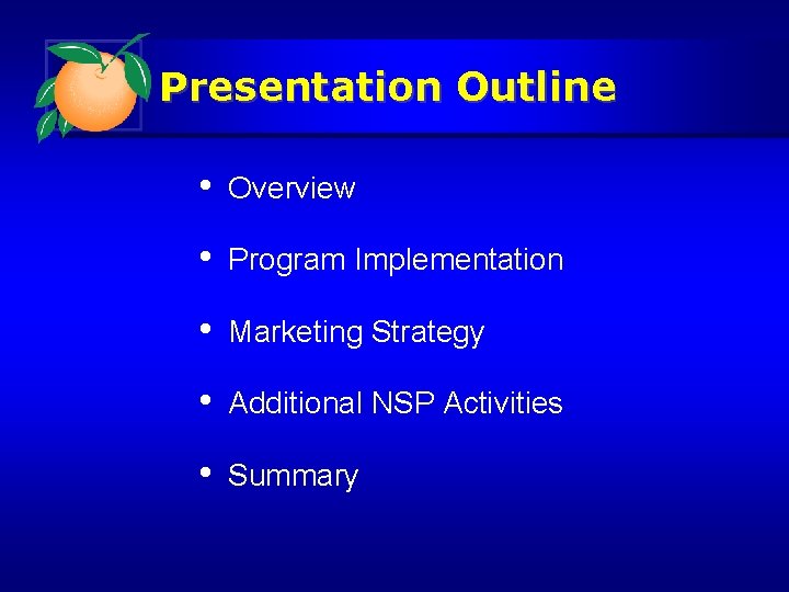 Presentation Outline • Overview • Program Implementation • Marketing Strategy • Additional NSP Activities