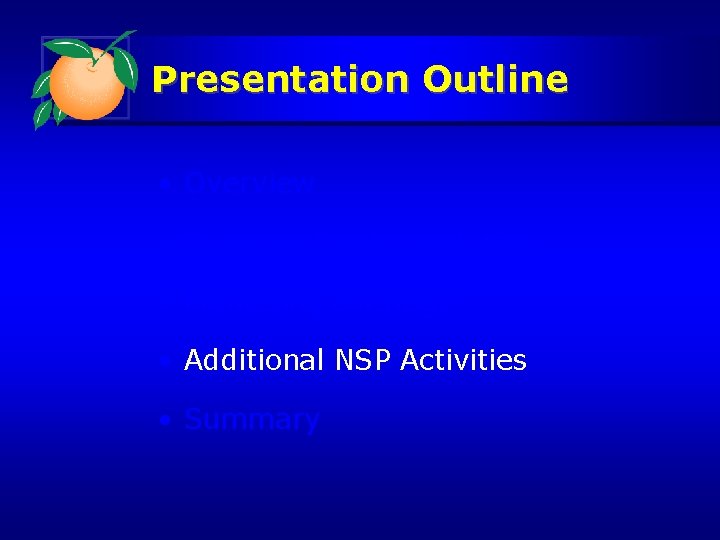 Presentation Outline • Overview • Program Implementation • Marketing Strategy • Additional NSP Activities