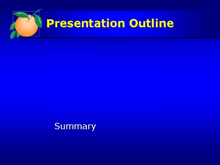 Presentation Outline • Overview • Program Implementation • Marketing Strategy • Additional NSP Activities