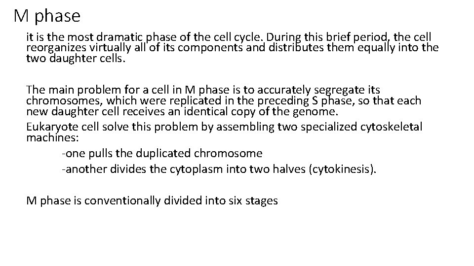 M phase it is the most dramatic phase of the cell cycle. During this