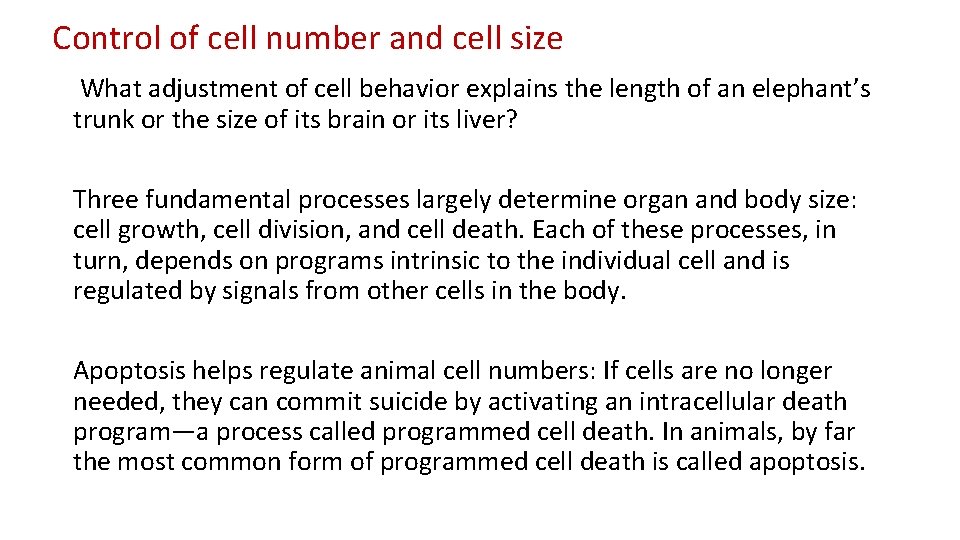 Control of cell number and cell size What adjustment of cell behavior explains the