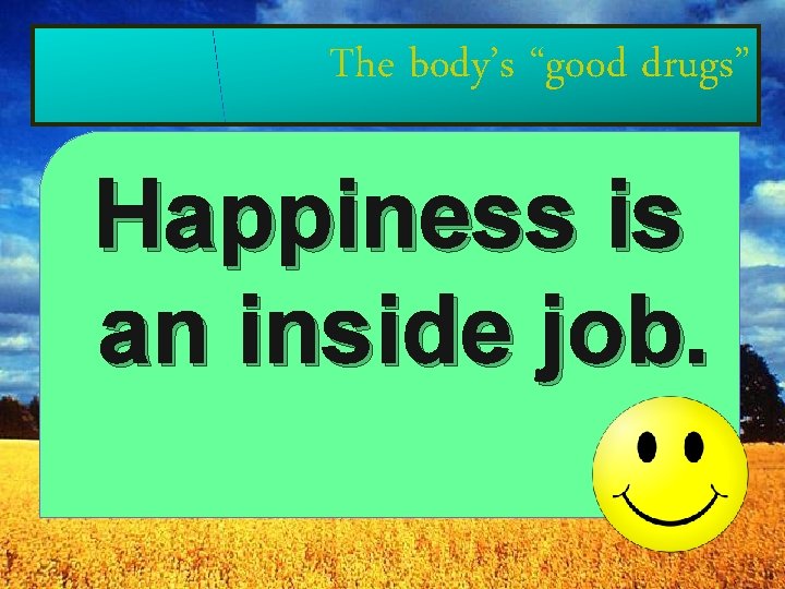 The body’s “good drugs” Happiness is an inside job. 