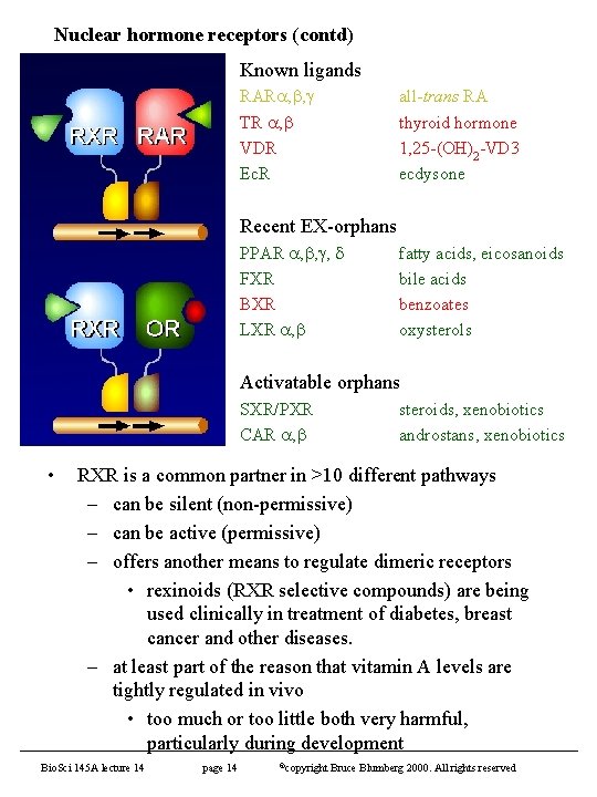 Nuclear hormone receptors (contd) Known ligands RAR , , TR , VDR Ec. R
