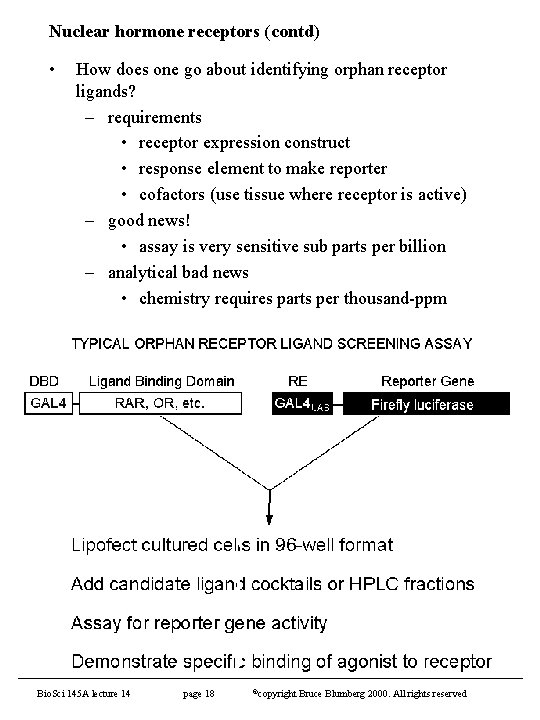 Nuclear hormone receptors (contd) • How does one go about identifying orphan receptor ligands?