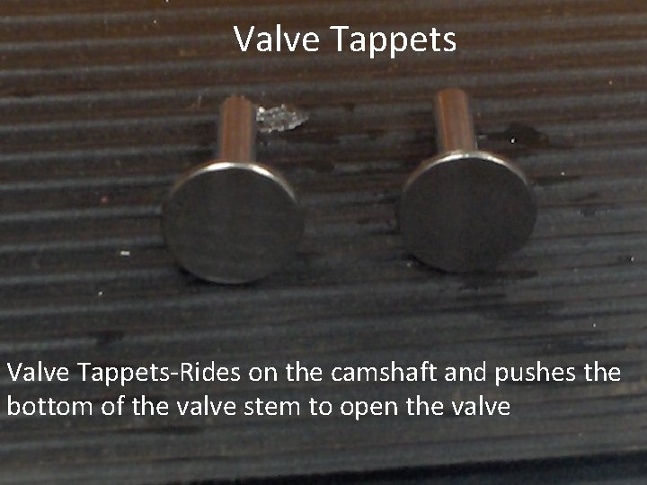 Valve Tappets-Rides on the camshaft and pushes the bottom of the valve stem to