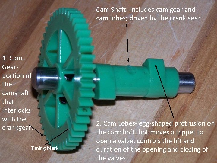 Cam Shaft- includes cam gear and cam lobes; driven by the crank gear 1.