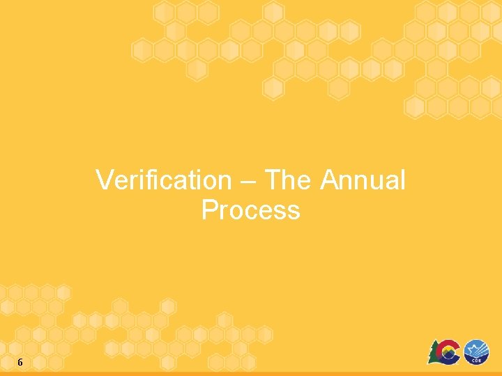 Verification – The Annual Process 6 