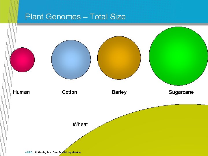 Plant Genomes – Total Size Human Cotton Wheat CSIRO. INI Meeting July 2010 -