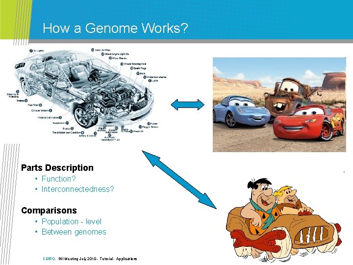 How a Genome Works? Parts Description • Function? • Interconnectedness? Comparisons • Population -