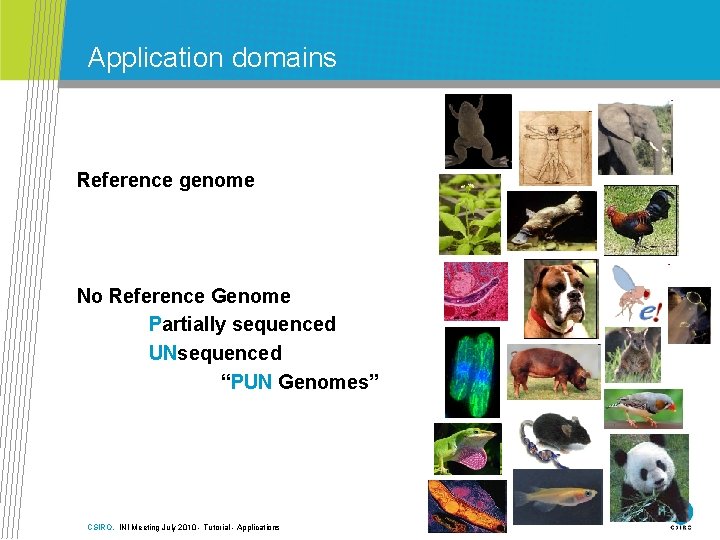 Application domains Reference genome No Reference Genome Partially sequenced UNsequenced “PUN Genomes” CSIRO. INI