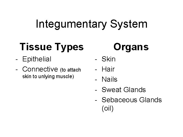 Integumentary System Tissue Types - Epithelial - Connective (to attach skin to unlying muscle)