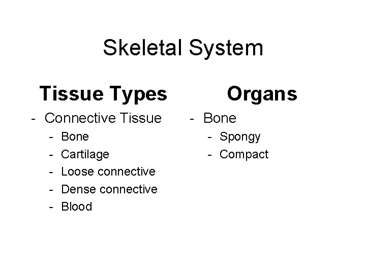 Skeletal System Tissue Types - Connective Tissue - Bone Cartilage Loose connective Dense connective