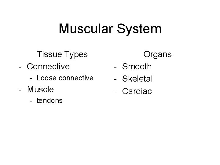 Muscular System Tissue Types - Connective - Loose connective - Muscle - tendons Organs