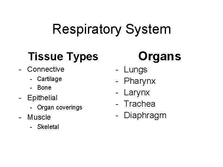 Respiratory System Organs Tissue Types - Connective - Cartilage - Bone - Epithelial -