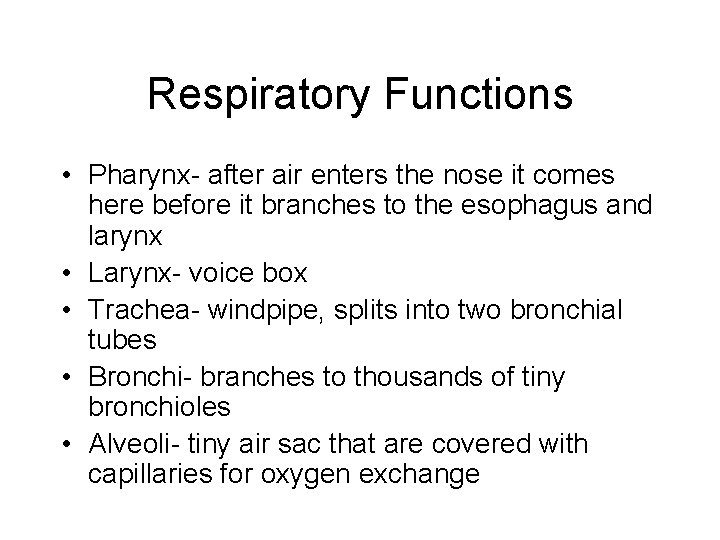 Respiratory Functions • Pharynx- after air enters the nose it comes here before it