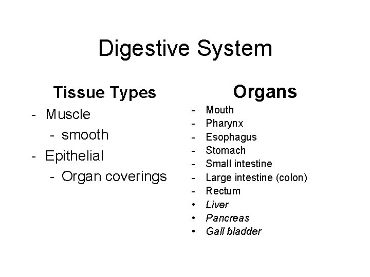 Digestive System Organs Tissue Types - Muscle - smooth - Epithelial - Organ coverings