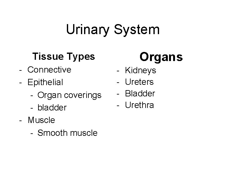 Urinary System Organs Tissue Types - Connective - Epithelial - Organ coverings - bladder