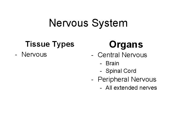Nervous System Tissue Types - Nervous Organs - Central Nervous - Brain - Spinal
