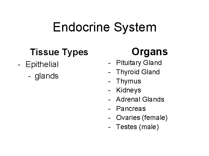 Endocrine System Organs Tissue Types - Epithelial - glands - Pituitary Gland Thyroid Gland