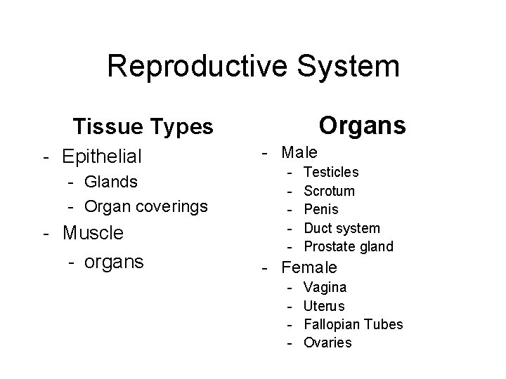 Reproductive System Organs Tissue Types - Epithelial - Glands - Organ coverings - Muscle