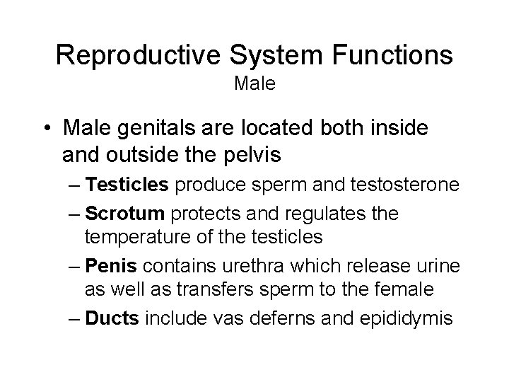 Reproductive System Functions Male • Male genitals are located both inside and outside the
