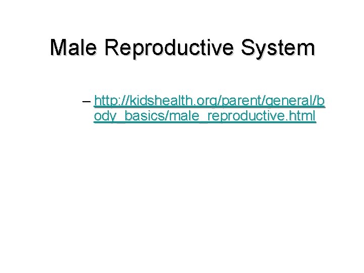 Male Reproductive System – http: //kidshealth. org/parent/general/b ody_basics/male_reproductive. html 