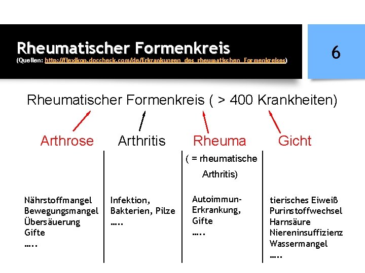 Rheumatischer Formenkreis (Quellen: http: //flexikon. doccheck. com/de/Erkrankungen_des_rheumatischen_Formenkreises) 6 Rheumatischer Formenkreis ( > 400 Krankheiten)