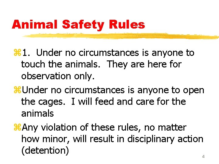 Animal Safety Rules z 1. Under no circumstances is anyone to touch the animals.