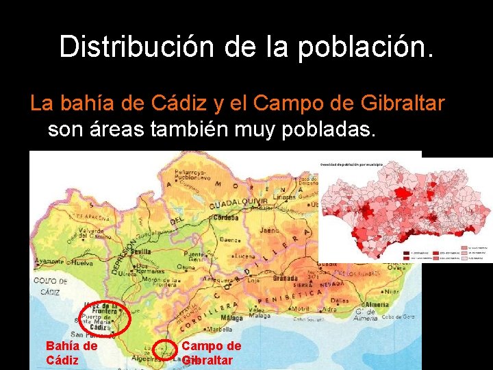 Distribución de la población. La bahía de Cádiz y el Campo de Gibraltar son