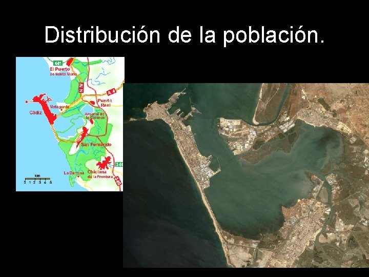 Distribución de la población. 