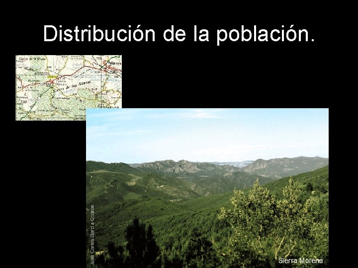 Distribución de la población. 