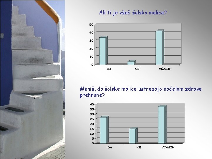 Ali ti je všeč šolska malica? Meniš, da šolske malice ustrezajo načelom zdrave prehrane?