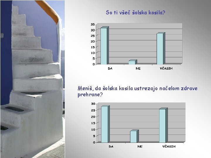 So ti všeč šolska kosila? Meniš, da šolska kosila ustrezajo načelom zdrave prehrane? 