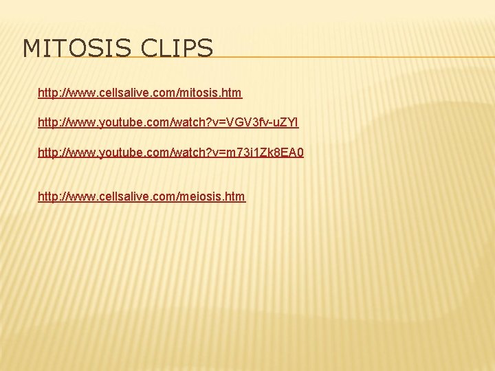 MITOSIS CLIPS http: //www. cellsalive. com/mitosis. htm http: //www. youtube. com/watch? v=VGV 3 fv-u.
