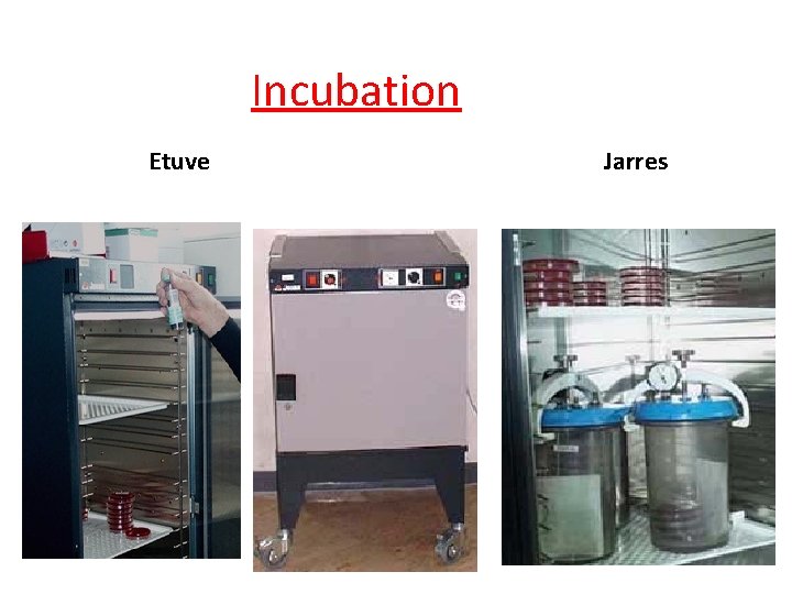 Incubation Etuve Jarres 