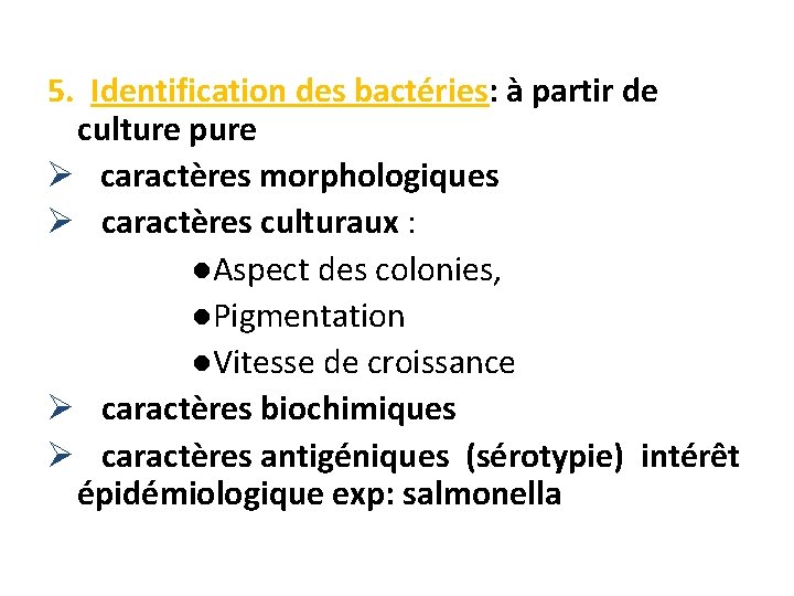 5. Identification des bactéries: à partir de culture pure Ø caractères morphologiques Ø caractères