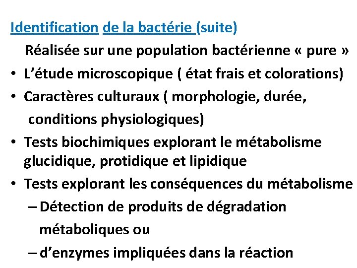 Identification de la bactérie (suite) Réalisée sur une population bactérienne « pure » •