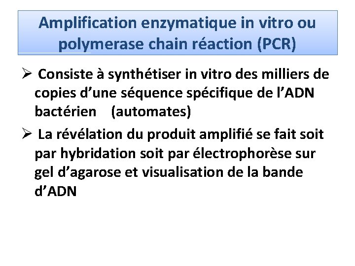 Amplification enzymatique in vitro ou polymerase chain réaction (PCR) Ø Consiste à synthétiser in