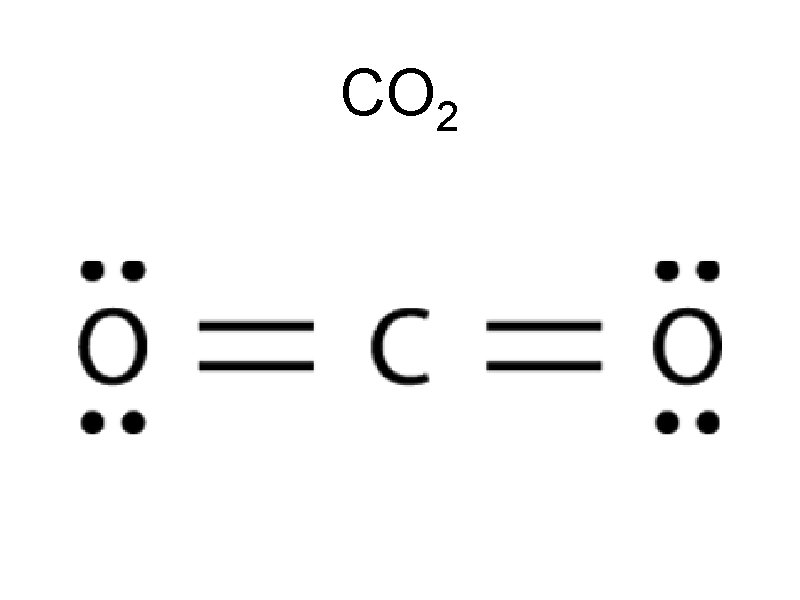 CO 2 