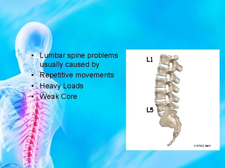  • Lumbar spine problems usually caused by • Repetitive movements • Heavy Loads