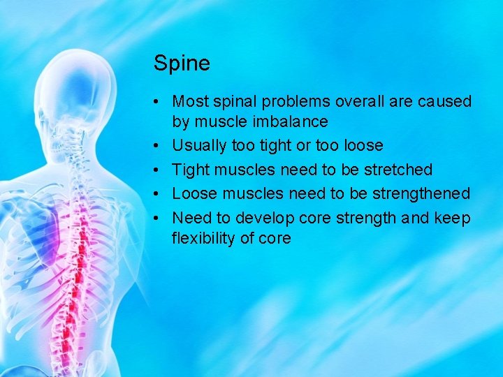 Spine • Most spinal problems overall are caused by muscle imbalance • Usually too