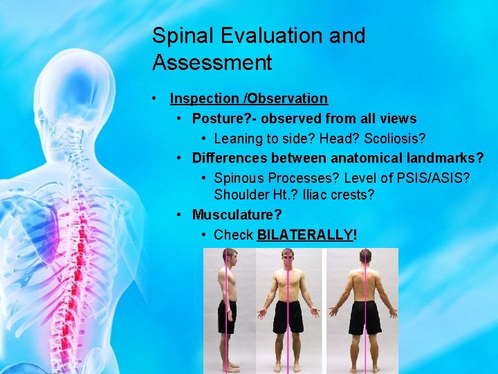 Spinal Evaluation and Assessment • Inspection /Observation • Posture? - observed from all views