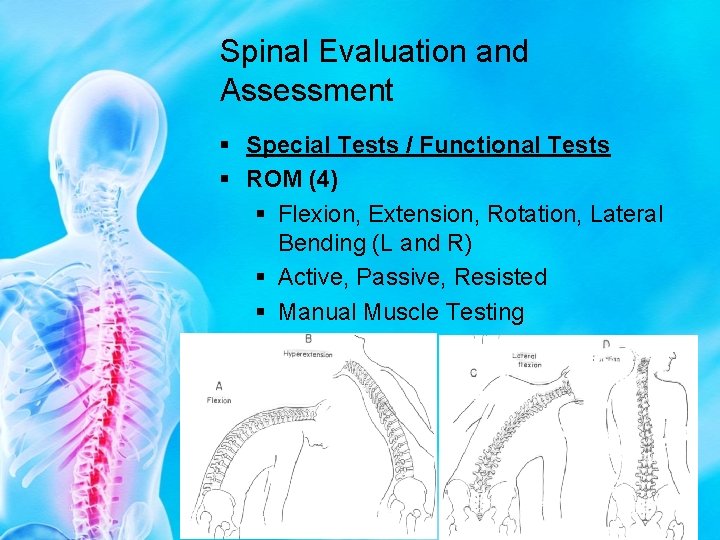 Spinal Evaluation and Assessment § Special Tests / Functional Tests § ROM (4) §